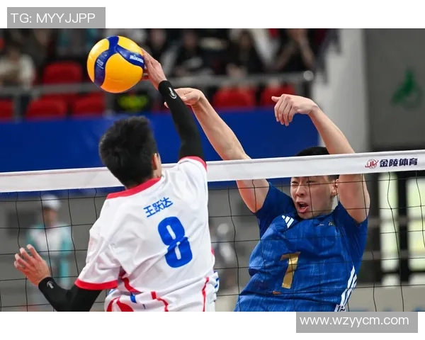 上海排球队强势崛起排球力量排行榜中荣获第二名殊荣