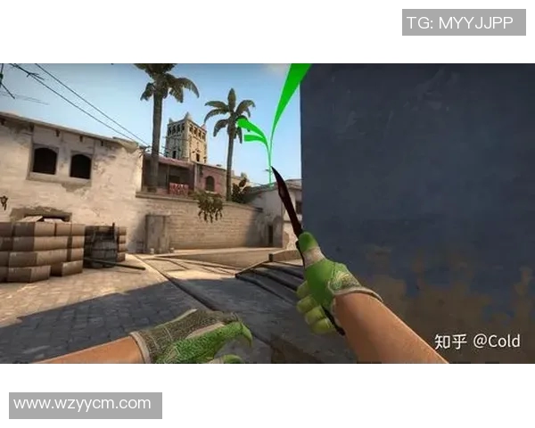 CSGO战术解析：深入探讨JDG中路突破的成功秘诀与策略